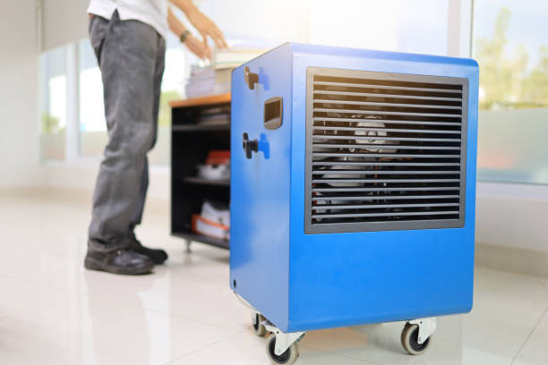 Dehumidification Services in Belton, SC